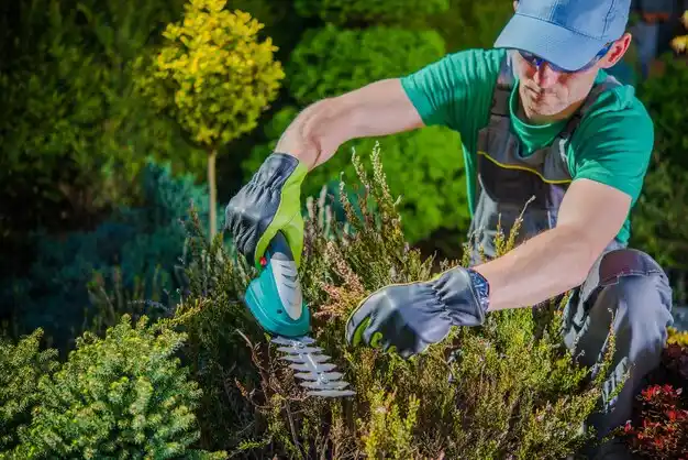 landscaping services The Plains